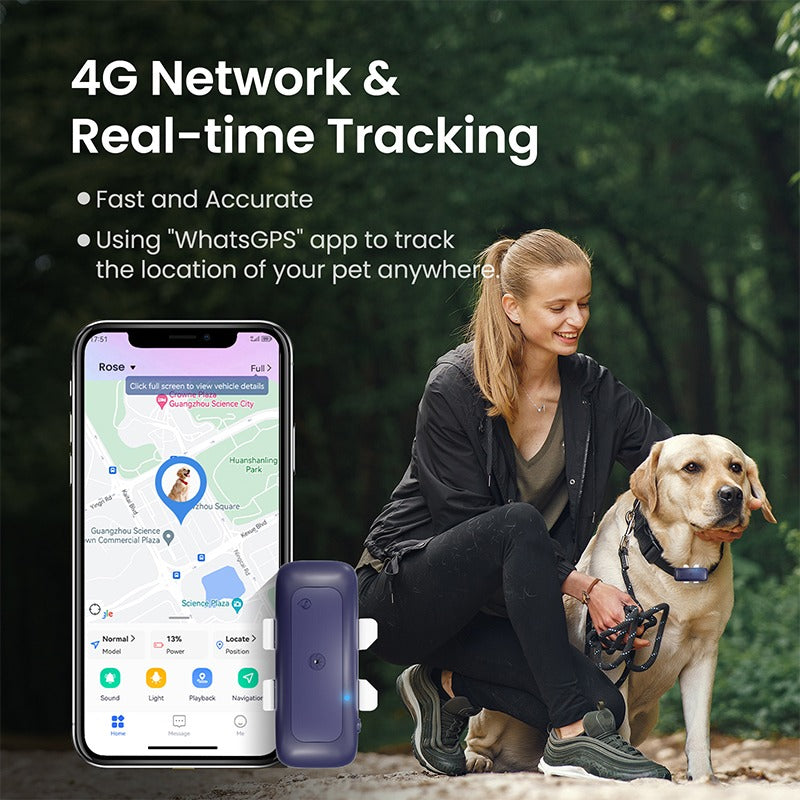 Localizzatore per animali domestici wireless di alta qualità, collare per animali domestici, localizzatore GPS Mini per animali domestici | S26L 