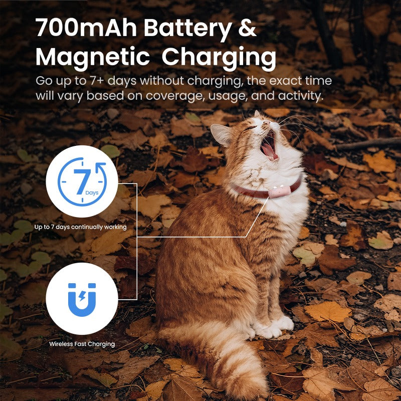 Localizzatore per animali domestici wireless di alta qualità, collare per animali domestici, localizzatore GPS Mini per animali domestici | S26L 