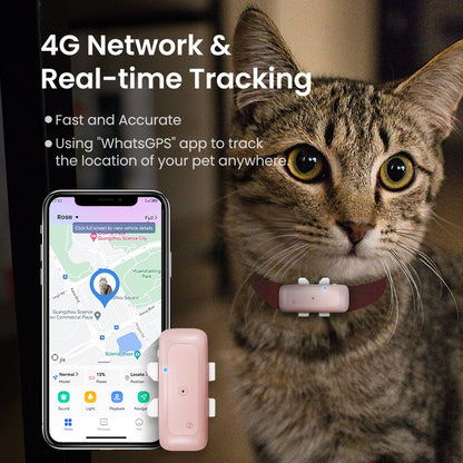 Localizzatore per animali domestici wireless di alta qualità, collare per animali domestici, localizzatore GPS Mini per animali domestici | S26L 
